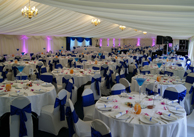 Table Decor - Blue Gel Vase