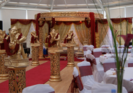 Ashika @ Manor of groves